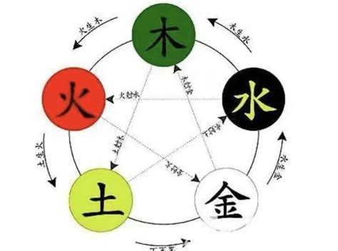 硨磲 五行|汘的五行属什么,汘字的五行属性,汘的寓意